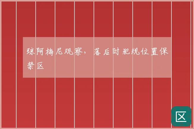 琼阿梅尼观察，落后时犯规位置保禁区